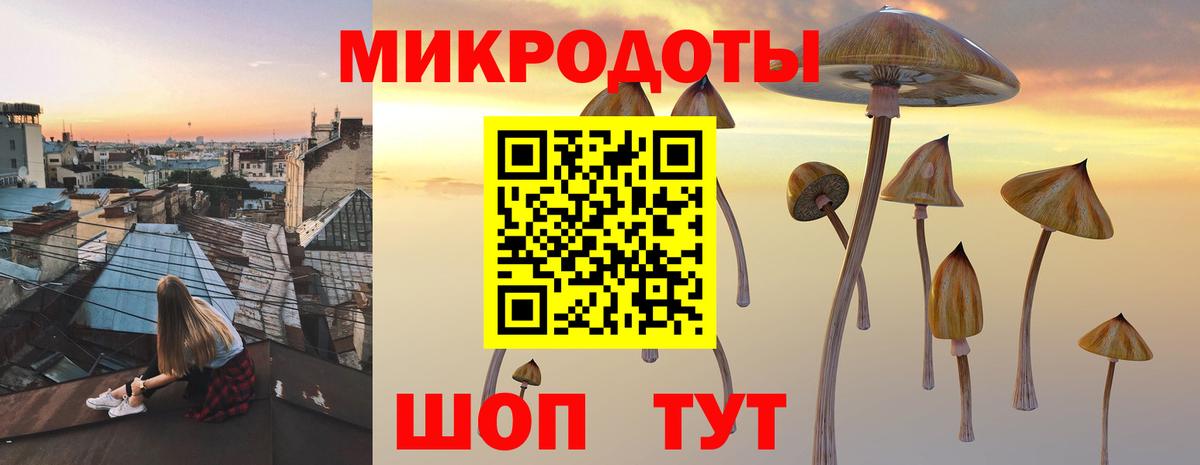 Псилоцибиновые грибы Psilocybine cubensis Назрань